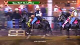 Mangalarga Marchador  Cavalos Campeões Nacionais de Marcha Batida 2022