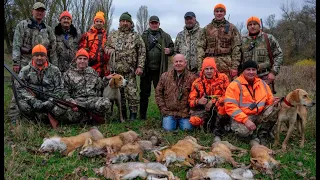 Удачное открытие охоты на пушнину 2020 / Охота на лису с гончими / Охота на зайца. Fox hunting 2020