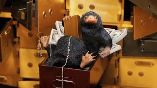 Bank Robbery - Niffler Scene - Fantastic Beasts and Where to find them(2016) || Movie Scene HD