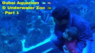 Dubai Aquarium & Underwater Zoo 🐟🦈 🐊 - Part 1