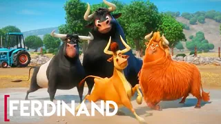 Ferdinand Unbelievable Dance  Scene | Ferdinand (2017) | English