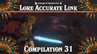 The Scourge of Hyrule's Evil: Lore Accurate Link Compilation 31