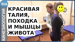 Красивая талия, походка и мышцы живота. Проф. Васильева. Кинезиология