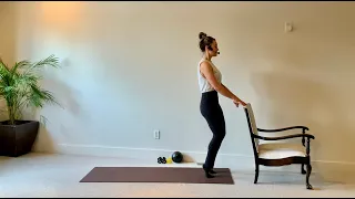 Barre Basics | hand weights