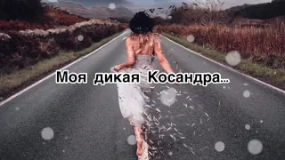 MiyaGi – Kosandra (ft. Andy Panda, Косандра, Мияги,) (lyrics)