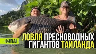 САМЫЕ БОЛЬШИЕ РЫБЫ В МИРЕ! Ловля пресноводных гигантов Тайланда