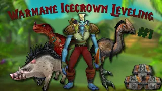 Leveling and Gearing from Scratch  (Warmane Icecrown) #1