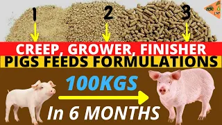 PIG FEED FORMULATION FOR FASTER PIG GROWTH (Creep, Growers, Finisher) | Make your Pigs Grow Faster