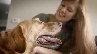 Jessi & Andi, A Mutual Rescue Film