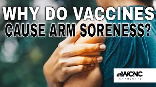 Why does your arm hurt after the COVID-19 vaccine?