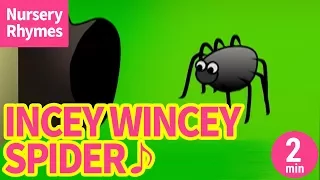 ♬Incy Wincy Spider - Eensy Weensy Spider〈英語の歌〉