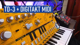 Digitakt and TD-3 Tutorial ( Midi and Sequencing )