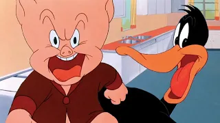 Looney Tunes | Daffy Duck Hunt | Daffy Duck & Porky Pig | 1949 | Classic Cartoon