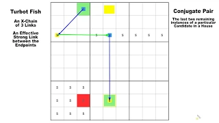 Turbot Fish Revealed / Sudoku Tutorial #14