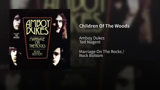 Amboy Dukes with Ted Nugent - Children Of The Woods (1970)