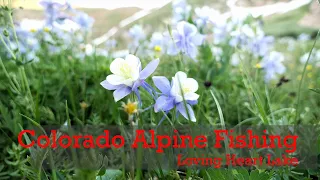 Colorado Alpine Fishing - Loving Heart Lake (4K)