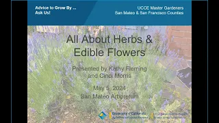 All about Edible Herbs and Edible Flowers