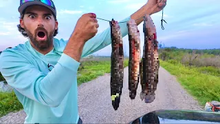 It's ILLEGAL To Release These Weird Fish ALIVE! — CATCH and COOK Invasive Species! (New Record)