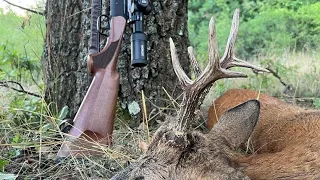 Vabljenje Srndaća - lov u parenju - Barajevo/Roebuck Calling - hunting in Rut in Barajevo | E176