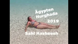 Ägypten | Hurghada | Sahl Hasheesh | Animation | Fun | 2019 | ♡♡♡