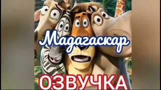 Озвучка мультфильма "Мадагаскар" | Glazicinema