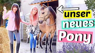 Wir haben ein Pony gekauft 😍| ViktoriaSarina