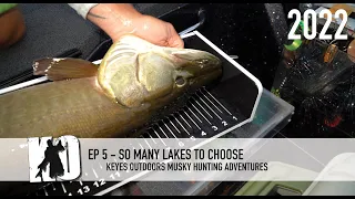 So Many Muskie Lakes to Choose - Keyes Outdoors Musky Hunting Adventures