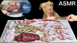 ASMR MUKBANG PITBULL Eating Raw Foods WAGYU Ribs Beef Achilles Chicken wings Beef tongue Pork skin