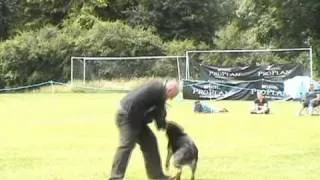 K9 Xena - WINNER Service/Working Dog of Year 2010