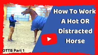How To Work With A Hot and Distracted Horse - Horsemanship to focus and relax your horse.