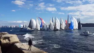 Sydney to GoldCoast Yacht Race. Pile up at the start!