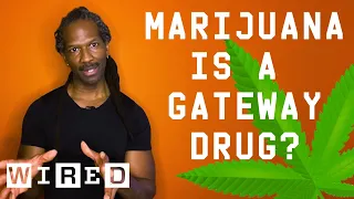 Dr. Carl Hart Debunks Drug Myths | WIRED