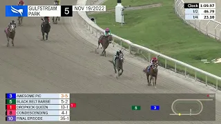 Gulfstream Park November 19, 2022 Race 5