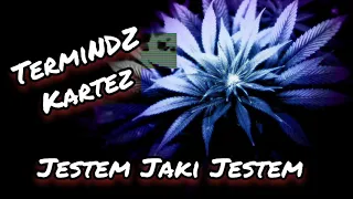 TermiNDZ ft. Kartez - Jestem Jaki Jestem