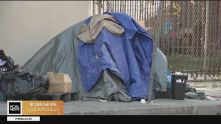 Appeals court denies city authority to clear streets of homeless individuals