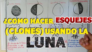 Como hacer ESQUEJES de plantas 🌱 CORRECTAMENTE utilizando la influencia de la LUNA (2019) BIEN EXPL