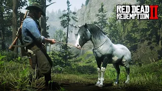 UM CAVALO DE PRESENTE - Mistério: encontro com a BRUXA e o LOBISOMEM - Red Dead Redemption 2