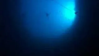 William Trubridge's 82 m Free Dive - Dean's Blue Hole