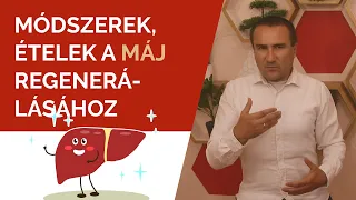 Módszerek, ételek a Máj regenerálásához