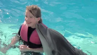 Дельфинарий в Шарм-ель-Шейхе