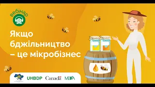 Якщо бджільництво - це мікробізнес. Апіпродукти