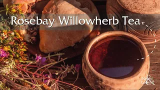 How to cook: Fermented Fireweed or Rosebay Willowherb Tea 🌿 Nature and Cooking