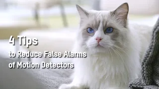 4 Tips to Reduce False Alarms of Motion Detectors