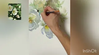 Как нарисовать розы акварелью, watercolor