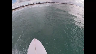 Small fun waves at kingy on the twin fin!!!