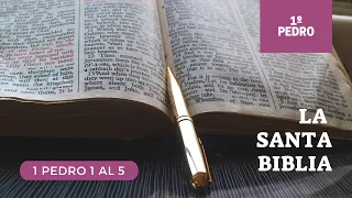 1 PEDRO COMPLETO (DÍA 314) LA SANTA BIBLIA || Audiolibro ||