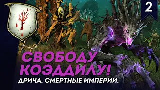 Свободу Коэддилу! - Дрича #2 | Легенда | Смертные Империи | Total War: Warhammer II