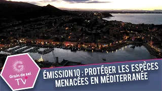 Émission 10: Protéger les espèces menacées en Méditerranée