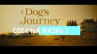 Собачья жизнь 2   Трейлер 2019