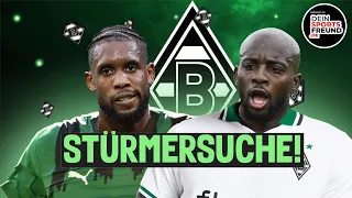 Borussias-Stürmersuche🔥Mateta oder Jordan? ⚽💪Elvedi als Rechtsverteidiger? Wolf Abgang?⚫⚪🟢 #borussia